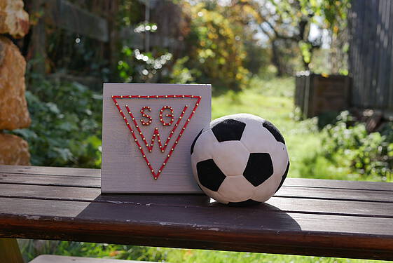 Fußball Vereinslogo
